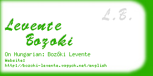 levente bozoki business card